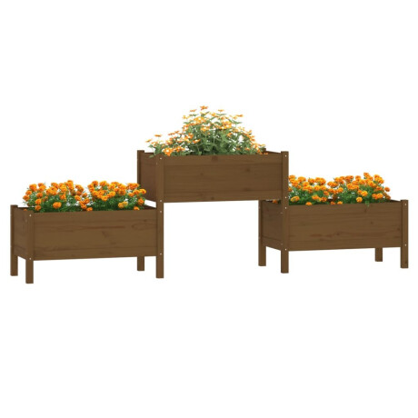 vidaXL Plantenbak 245,5x44x75 cm massief grenenhout honingbruin afbeelding3 - 1
