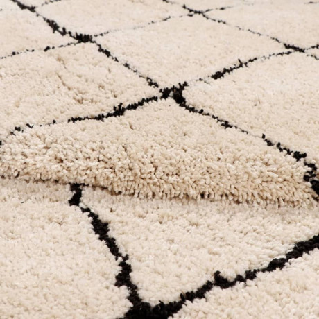 Dutch Lifestyle Vloerkleed Berlin Sanft 300x200 cm beige afbeelding3 - 1