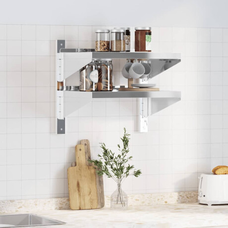 vidaXL Wandschap 2-laags 50x40x48 cm roestvrijstaal zilverkleurig afbeelding3 - 1