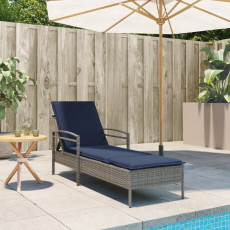 vidaXL | Ligstoel | met kussen Grijs 63 x 200 x 81 cm poly rattan afbeelding3 - 1