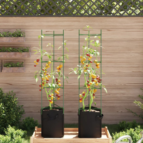 vidaXL Tomatenkooi met plantenzak 2 st 154 cm staal en polypropeen afbeelding3 - 1