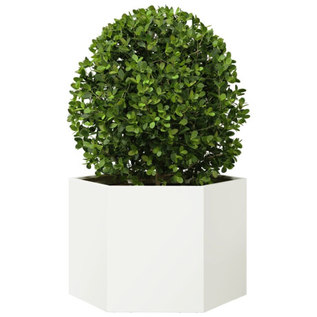 vidaXL Plantenbak zeshoek 69x60x45 cm staal wit afbeelding3 - 1