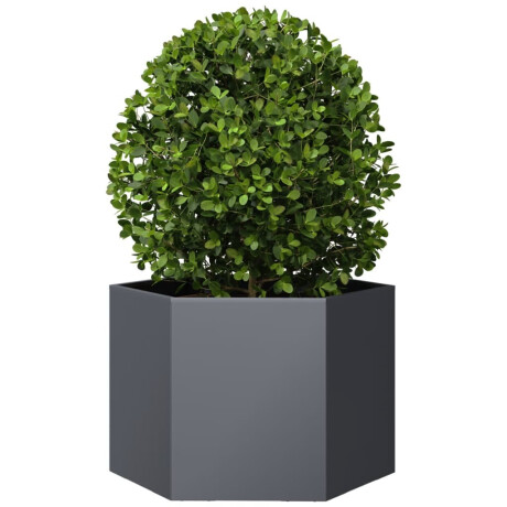 vidaXL Plantenbak zeshoek 69x60x45 cm staal antracietkleurig afbeelding3 - 1