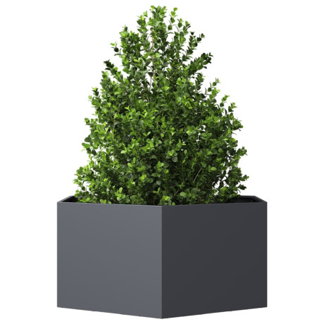 vidaXL Plantenbak zeshoek 104x90x45 cm staal antracietkleurig afbeelding3 - 1