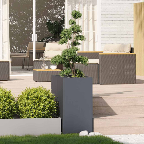 vidaXL Plantenbak 40x80x80 cm staal antracietkleurig afbeelding3 - 1