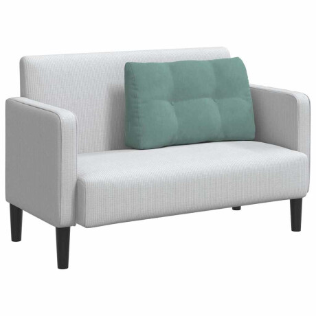 vidaXL Rugkussen Zeegroen 80 x 24 x 50 cm Fluweel afbeelding3 - 1