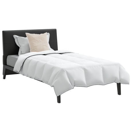 vidaXL Dekbed met kussen 2 pcs Wit 135 x 200 cm Dons afbeelding3 - 1