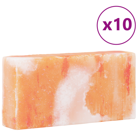 vidaXL Zoutstenen 10 st 20x10x5 cm 23 kg roze afbeelding3 - 1