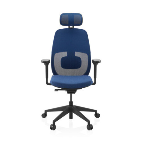 Skandis Pro | met hoofdsteun - Professionele bureaustoel Blauw / Zwart