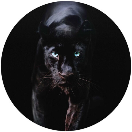 Plexiglasschilderij Zwarte Panter - Ø 70cm - Acrylglas - REINDERS