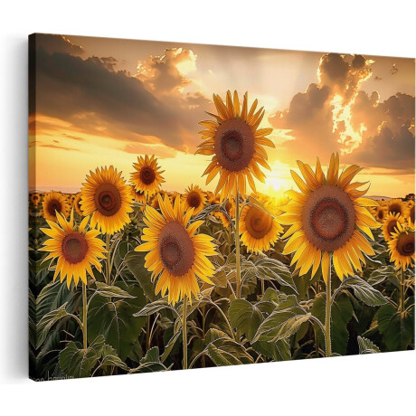 Artaza Canvas Schilderij Zonnebloemen in een Veld bij Zonsondergang - 60x40 - Wanddecoratie - Foto Op Canvas - Canvas Print