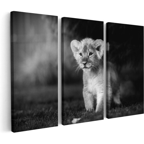 Artaza Canvas Schilderij Drieluik Schattige Leeuwen Welp - Baby Leeuw - Zwart Wit - 150x100 - Groot - Foto Op Canvas - Canvas Print