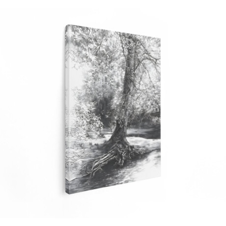 Artaza Canvas Schilderij Boom - 60x80 cm - Wanddecoratie Natuur Zwart Wit - Muurdecoratie Landschap - Decoratie Bos Waterkant