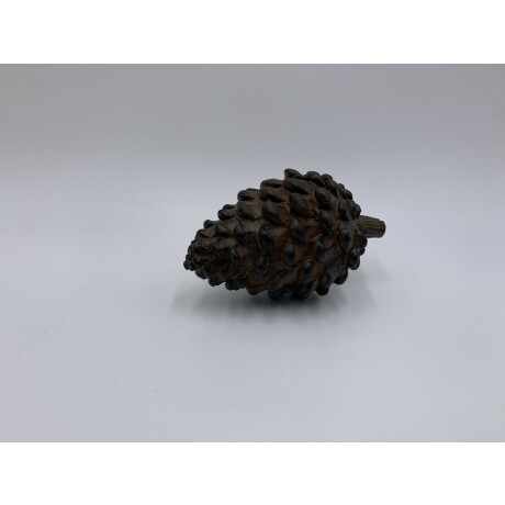 Dennenappel decoratie beeld bruin zwart liggend Maat M 15 x 8 cm polysteen | 121306 790033 | Home Sweet Home | Stoer & Sober Woonstijl