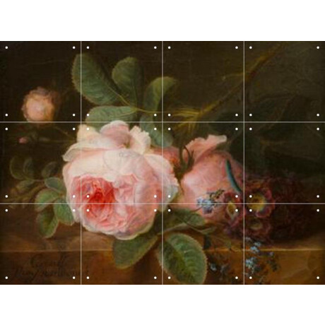 IXXI Koolroos, Gerard van Spaendonck & Het Noordbrabants Museum - 80 x 60 cm - Gratis ophangtool - Grote wanddecoratie en posters - Olieverf