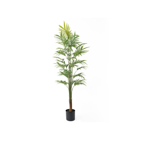Kunstplant Palmboom | Present Time