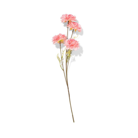 HEMA HEMA Kunstbloem Anjelier 55cm Roze (paars)