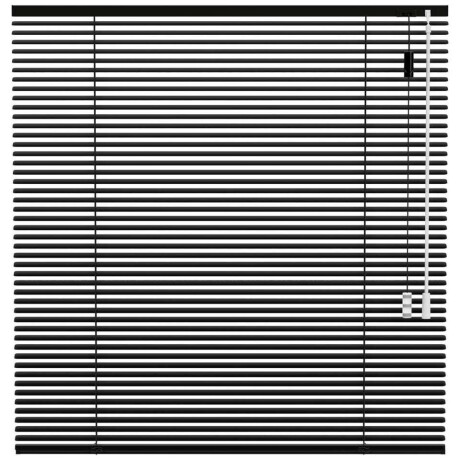 25% korting - Leen Bakker - Fenstr Jaloezie 25mm Standaard Lak - (15026) - Aluminium - Zwart - 120x10x10 Cm