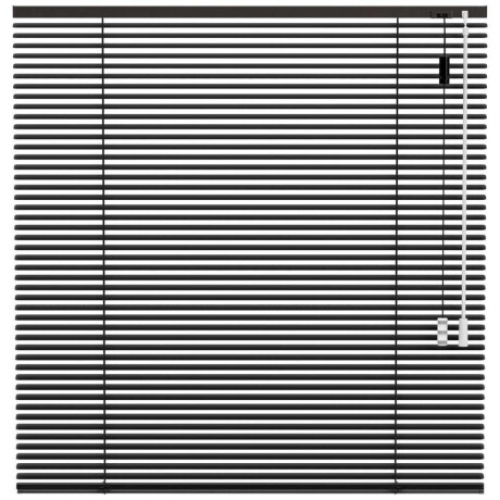 25% korting - Leen Bakker - Fenstr Jaloezie 25mm Standaard Lak - Donker (20518) - Aluminium - Grijs - 120x10x10 Cm