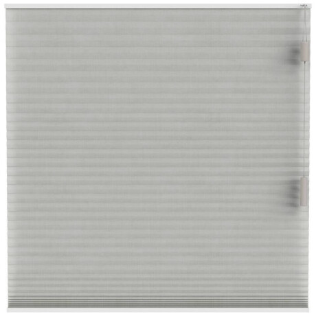 25% korting - Leen Bakker - Fenstr Plisségordijn Sidney Dubbel 25mm Transparant - Linnen (25513) - Polyester - Grijs - 120x10x10 Cm