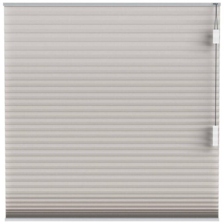 25% korting - Leen Bakker - Fenstr Plisségordijn Montreal Dubbel 25mm Lichtdoorlatend - (30019) - Polyester - Taupe - 120x10x10 Cm