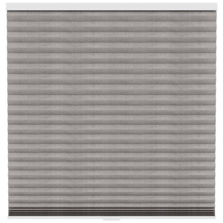 25% korting - Leen Bakker - Fenstr Plisségordijn Sidney Dubbel 45mm Transparant - (30026) - Polyester - Taupe - 120x10x10 Cm