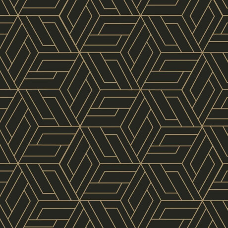 DUTCH WALLCOVERINGS DUTCH WANDBEKLEDING Behang Cobra Zwart