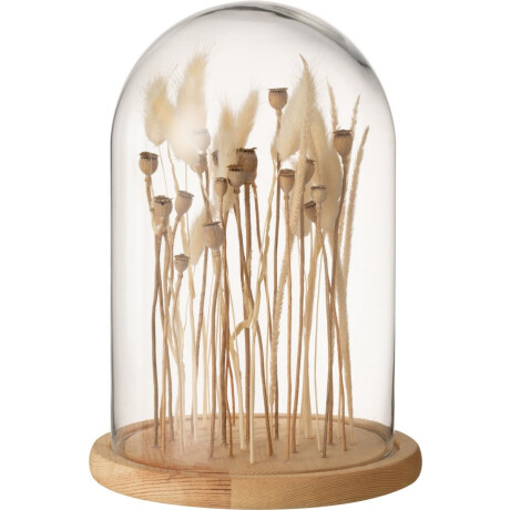 J-Line decoratie Stolp Droogbloemen - glas/hout - ecru/bruin - small