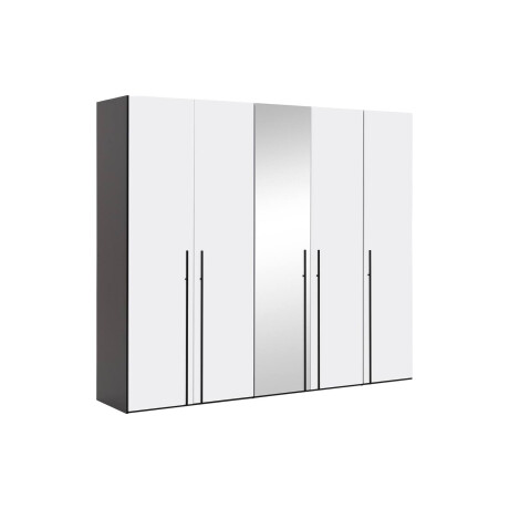 Goossens Kledingkast Easy Storage Ddk, Kledingkast 253 cm breed, 220 cm hoog, 4x glas draaideur en 1x spiegel draaideur midden