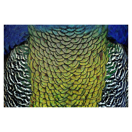 Goossens Schilderij Wonderful Life, 148 x 98 cm