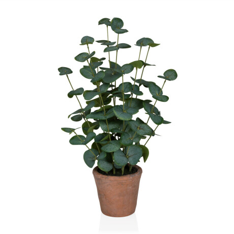 Eucalyptus Bonsai - Kunstplant Groen