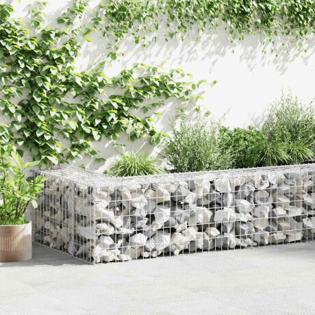 vidaXL Gabion mand 100x50x50 cm gegalvaniseerd staal