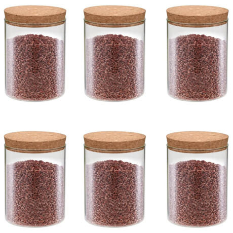 vidaXL Opbergpotten met kurken deksel 6 st 650 ml glas