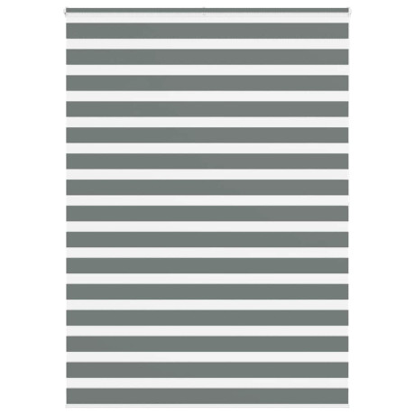 vidaXL Zebra rolgordijn 155x200 cm stofbreedte 150,9 cm donkergrijs