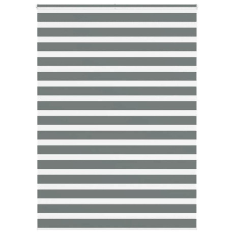 vidaXL Zebra rolgordijn 165x200 cm stofbreedte 160,9 cm donkergrijs