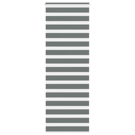 vidaXL Zebra rolgordijn 75x230 cm stofbreedte 70,9 cm donkergrijs