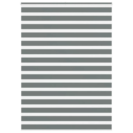 vidaXL Zebra rolgordijn 155x230 cm stofbreedte 150,9 cm donkergrijs