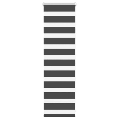 vidaXL Zebra rolgordijn 50x100 cm stofbreedte 45,9cm zwart