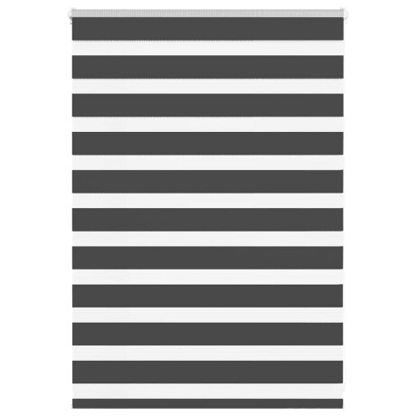 vidaXL Zebra rolgordijn 100x100 cm stofbreedte 95,9 cm zwart