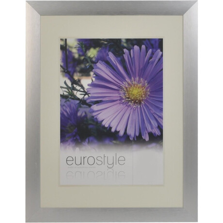 Desq 4902 | Fotolijst Aluminium | Sterk Helder Plexiglas | 21 x 29,7 cm