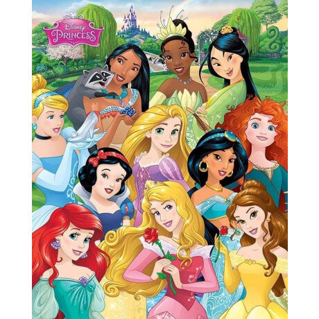 Disney Princess Prinsessen Poster 40x50cm