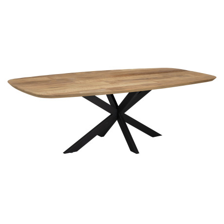 DTP Home Deens Ovale Eettafel 'Evo' Teakhout, 240 x 110cm