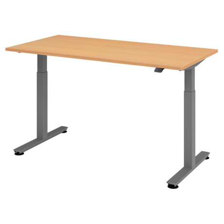 XMST 16 G | 160x80 | Bureau elektrisch in hoogte verstelbaar - Beuken 160 x 80 Tafelhoogte I Elektrisch in hoogte verstelbaar