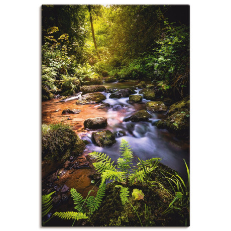 Artland Artprint Beek in het bos als artprint van aluminium, artprint op linnen, muursticker, verschillende maten