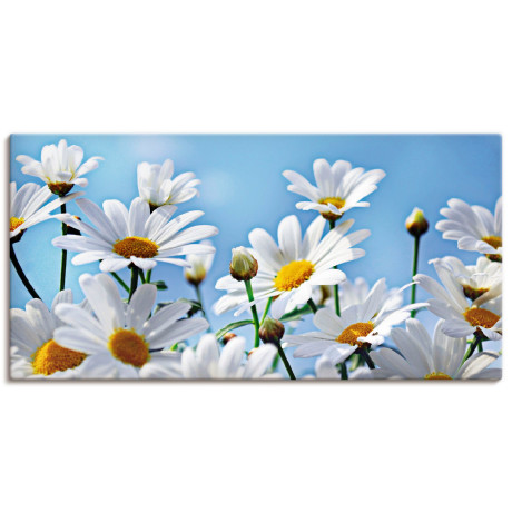 Artland Artprint Bloemen - margrieten als artprint van aluminium, artprint voor buiten, artprint op linnen in verschillende maten