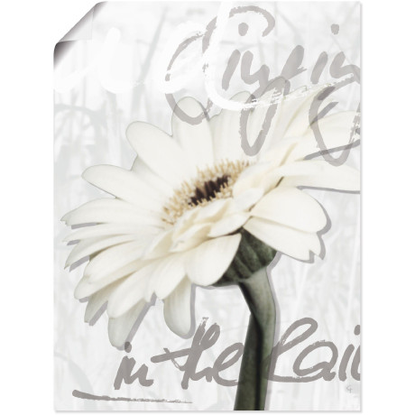 Artland Artprint Gerbera als artprint op linnen, poster, muursticker in verschillende maten