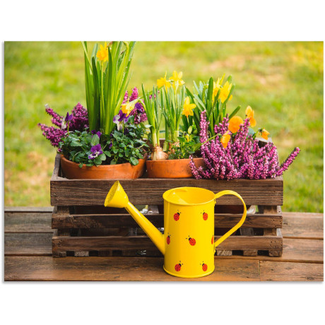 Artland Artprint Houten kistje heide narcis gieter als artprint van aluminium, artprint voor buiten, artprint op linnen in verschillende maten