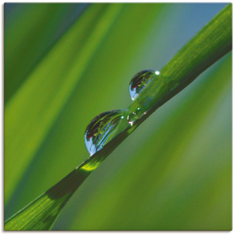 Artland Artprint op linnen Waterdruppels op grasspriet