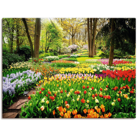 Artland Artprint Tulpen tuin voorjaar als artprint van aluminium, artprint voor buiten, artprint op linnen, poster, muursticker