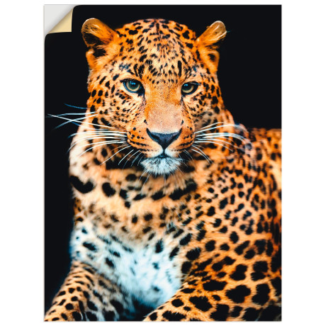 Artland Artprint Woedende wilde luipaard als artprint van aluminium, artprint voor buiten, artprint op linnen, poster, muursticker